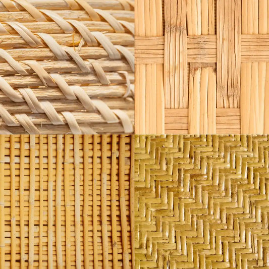 Rattan vs Bamboo: What’s the Real Difference?