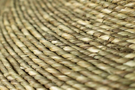 What Is Seagrass? Embracing Nature’s Texture in the Modern Minimalist Home