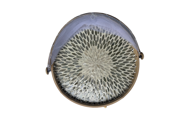 Round Bamboo Food Cover with Mesh Dome, Mother of Pearl Inlay Bamboo Tray, Handmade Food Protector, Kitchen Serving Tray 16 Inch