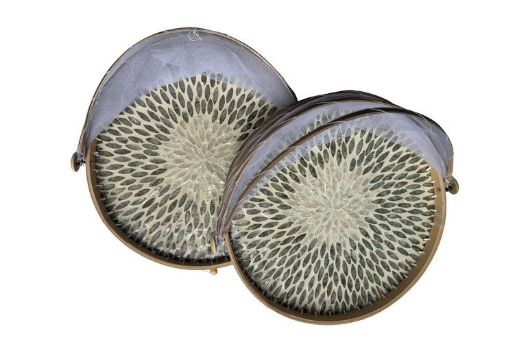 Round Bamboo Food Cover with Mesh Dome, Mother of Pearl Inlay Bamboo Tray, Handmade Food Protector, Kitchen Serving Tray 16 Inch