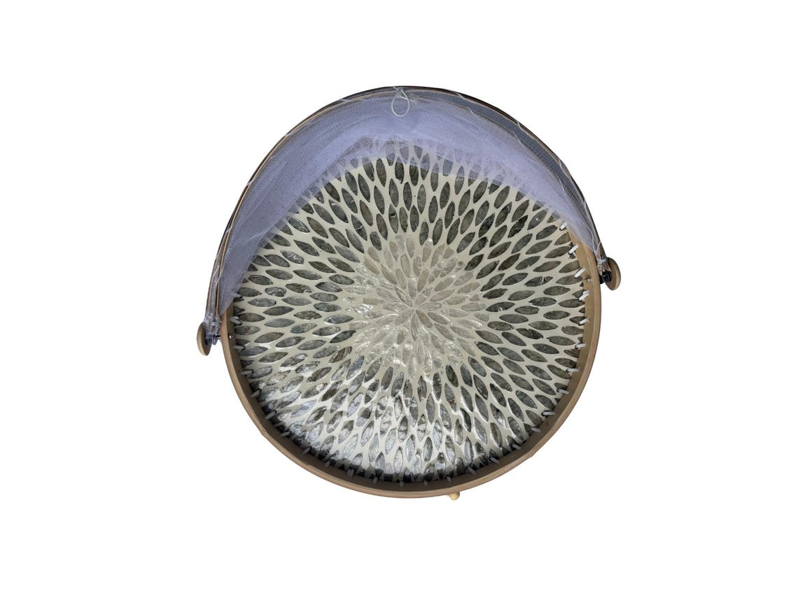 Round Bamboo Food Cover with Mesh Dome, Mother of Pearl Inlay Bamboo Tray, Handmade Food Protector, Kitchen Serving Tray 16 Inch